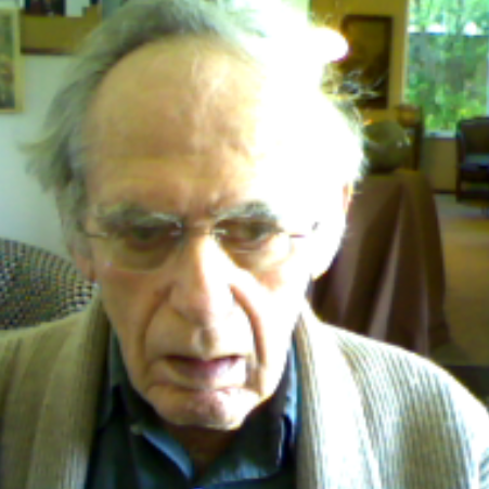 File:Bernard L Feldman 104.png