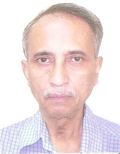 File:Sankar Hajra 1715.jpg