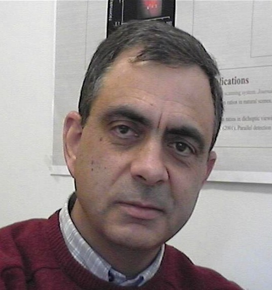 File:Jose Borges de Almeida 627.jpg
