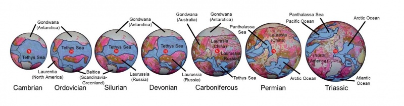 File:CostalGeologyCambrianTriassic.jpg