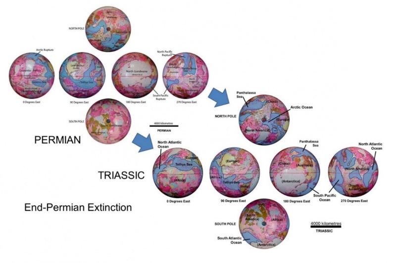 File:EarthPermianTriassicExtinction.jpg