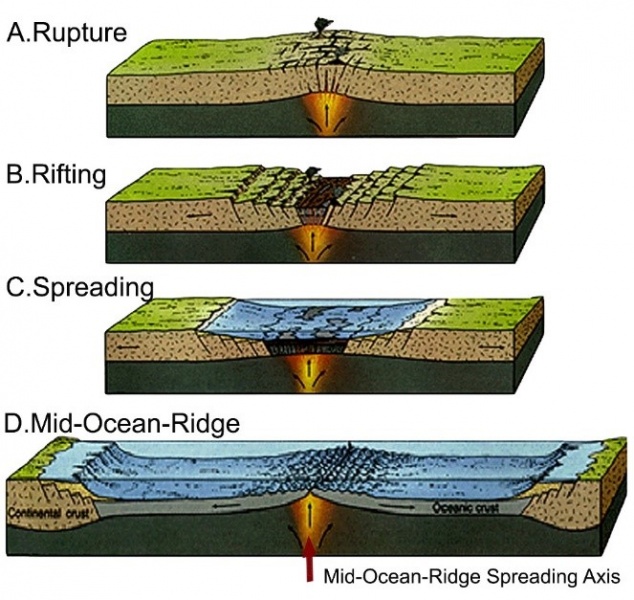 File:SeafloorCrustalZones.jpg